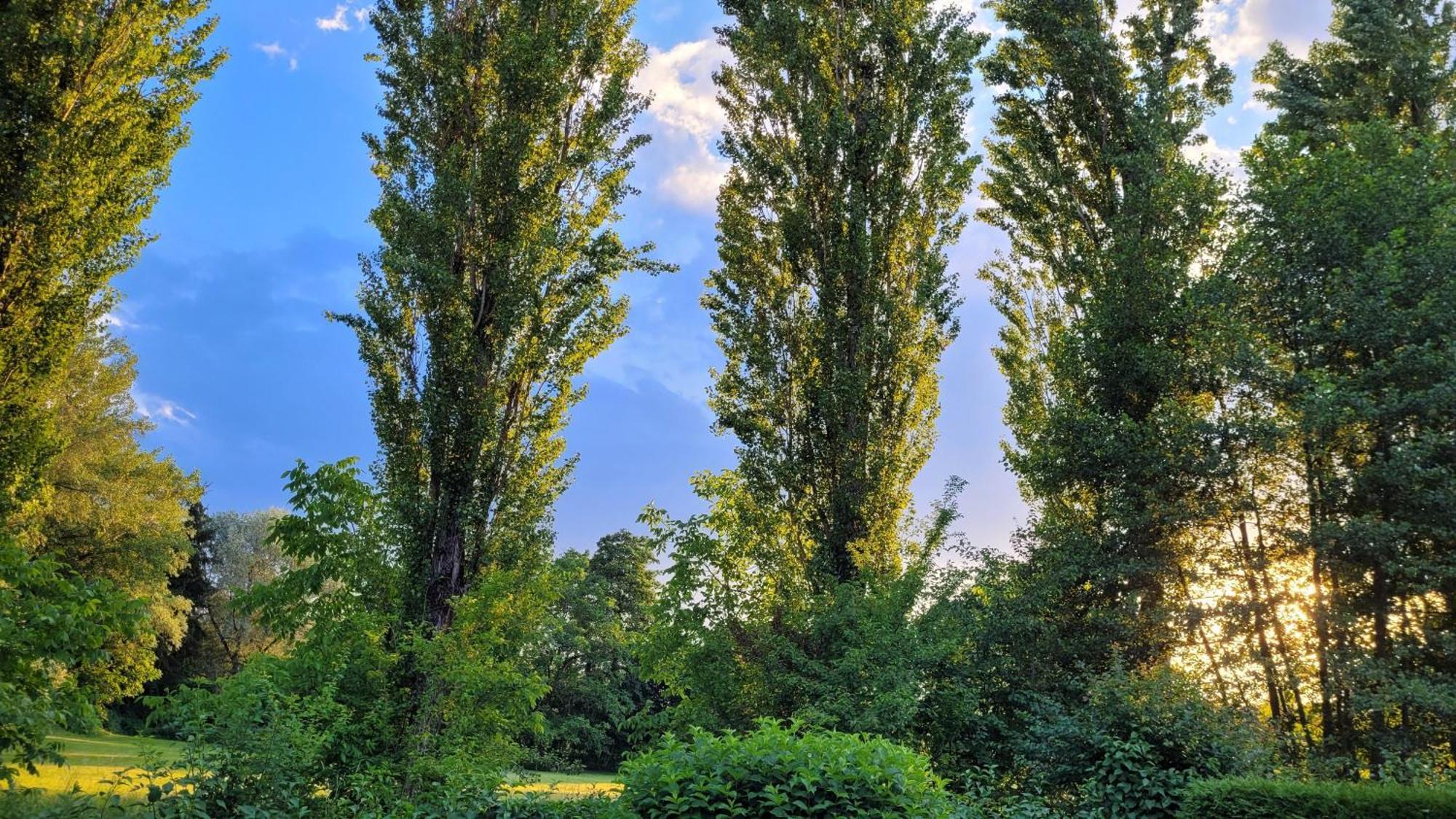 Villa Blu Sankt Kanzian am Klopeiner See Dış mekan fotoğraf